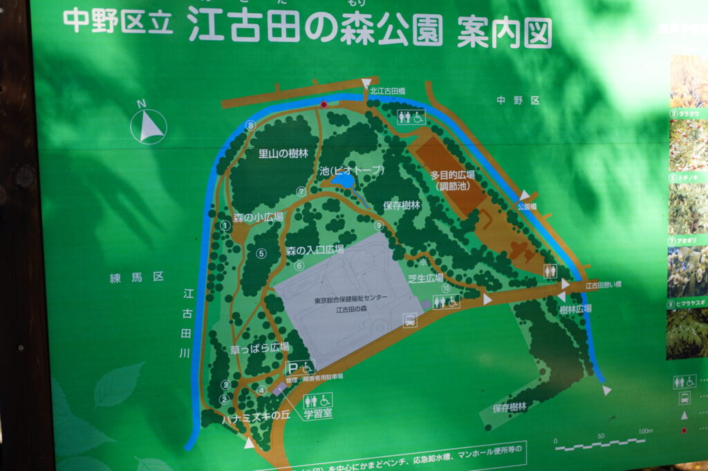 江古田の森公園の案内図