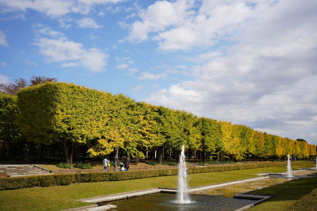 昭和記念公園の銀杏並木の外観